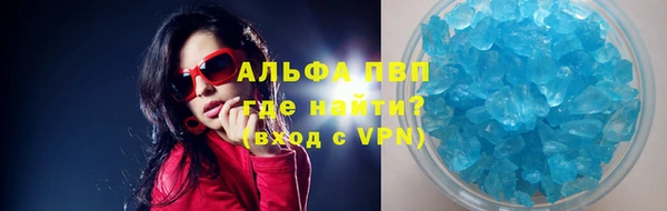 ПСИЛОЦИБИНОВЫЕ ГРИБЫ Дмитров