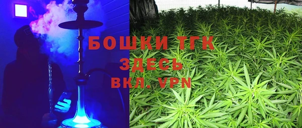 ПСИЛОЦИБИНОВЫЕ ГРИБЫ Дмитров