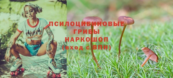 дурь Дмитровск